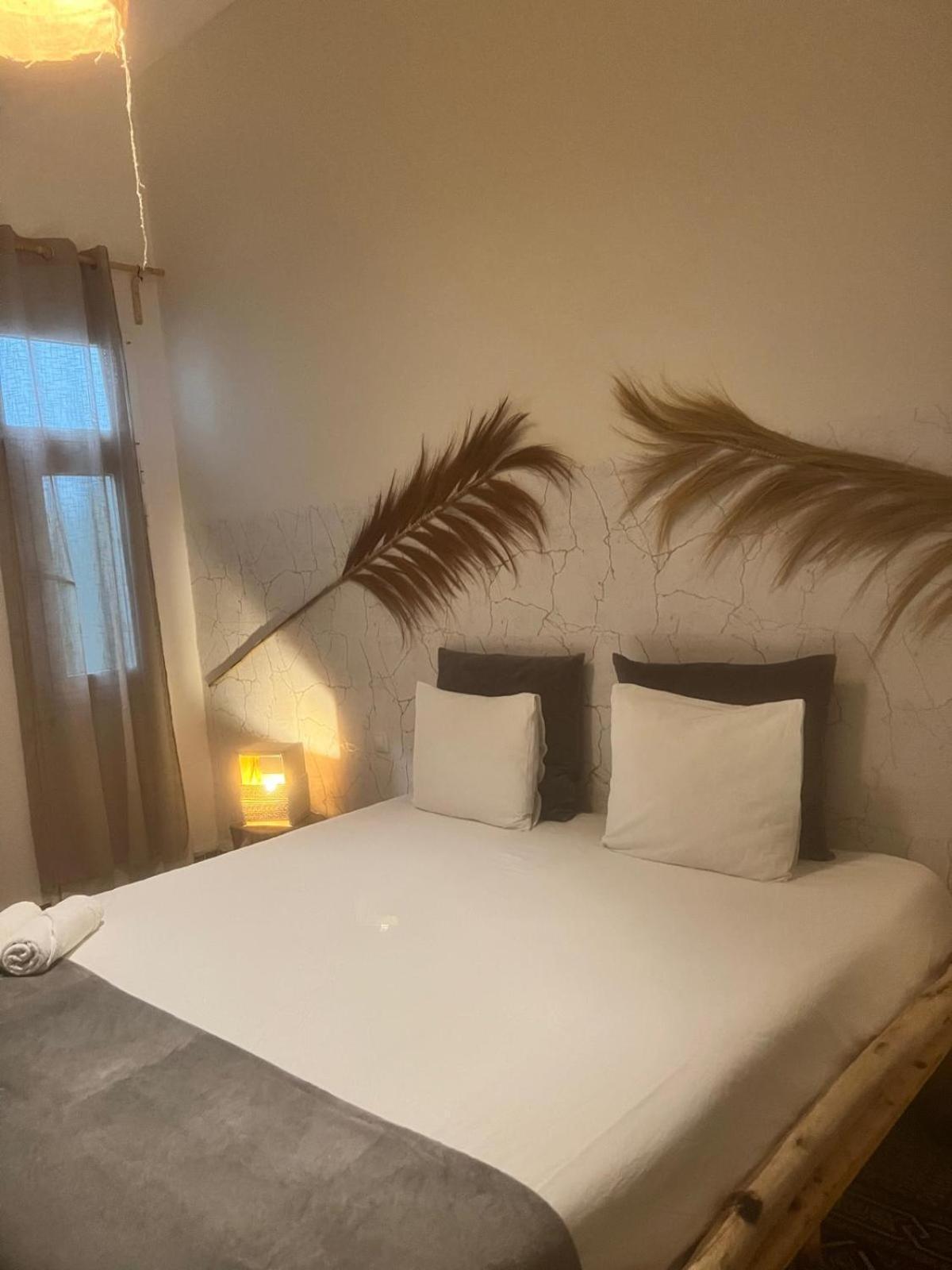 라스팔마스 Cactus Host 호스텔 외부 사진